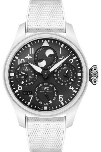 IWC IW503008