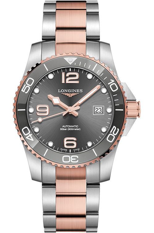 Longines HydroConquest 41 mm Watch in Grey Dial