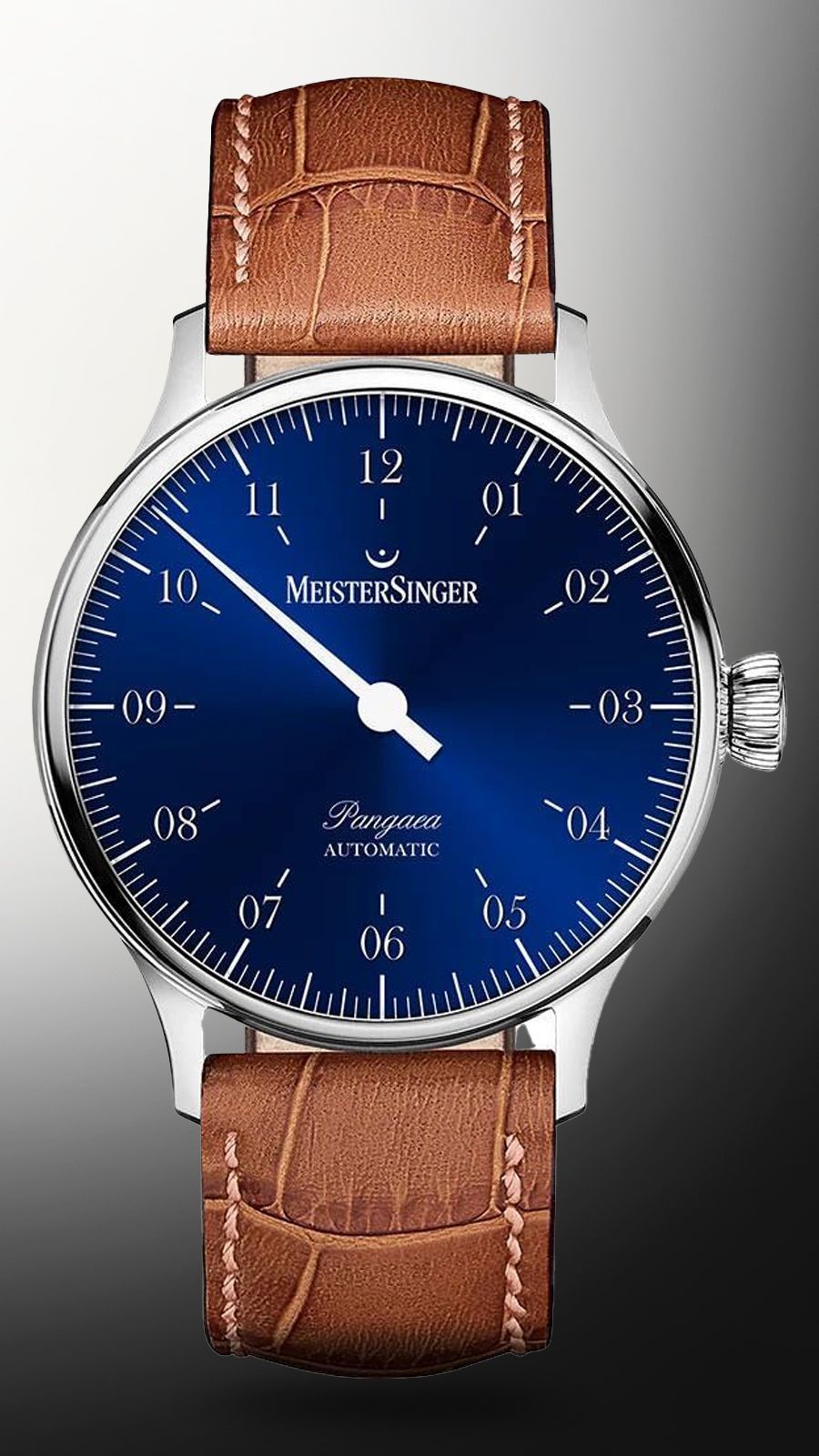 MeisterSinger Pangaea