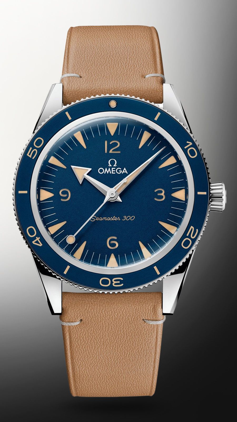 Omega Seamaster Automatic Watch | 234.32.41.21.03.001