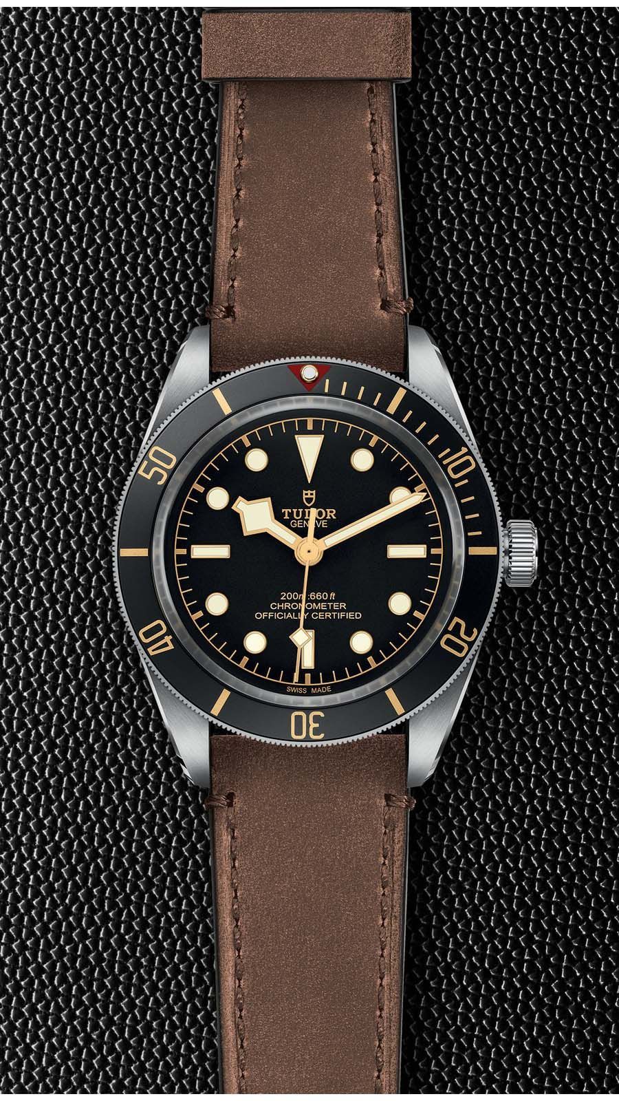 Tudor Black Bay