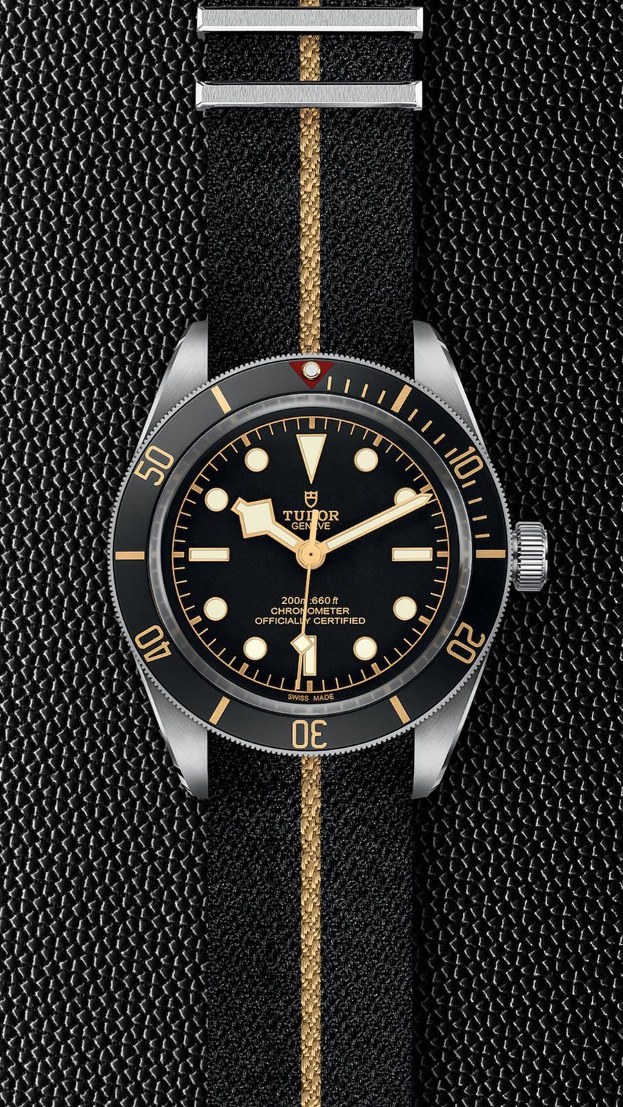 TUDOR Black Bay