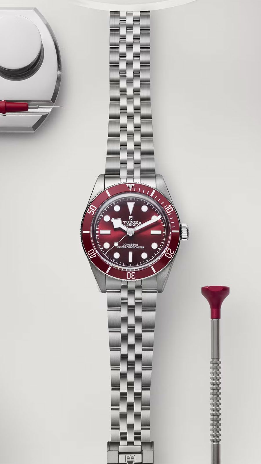 Tudor Black Bay