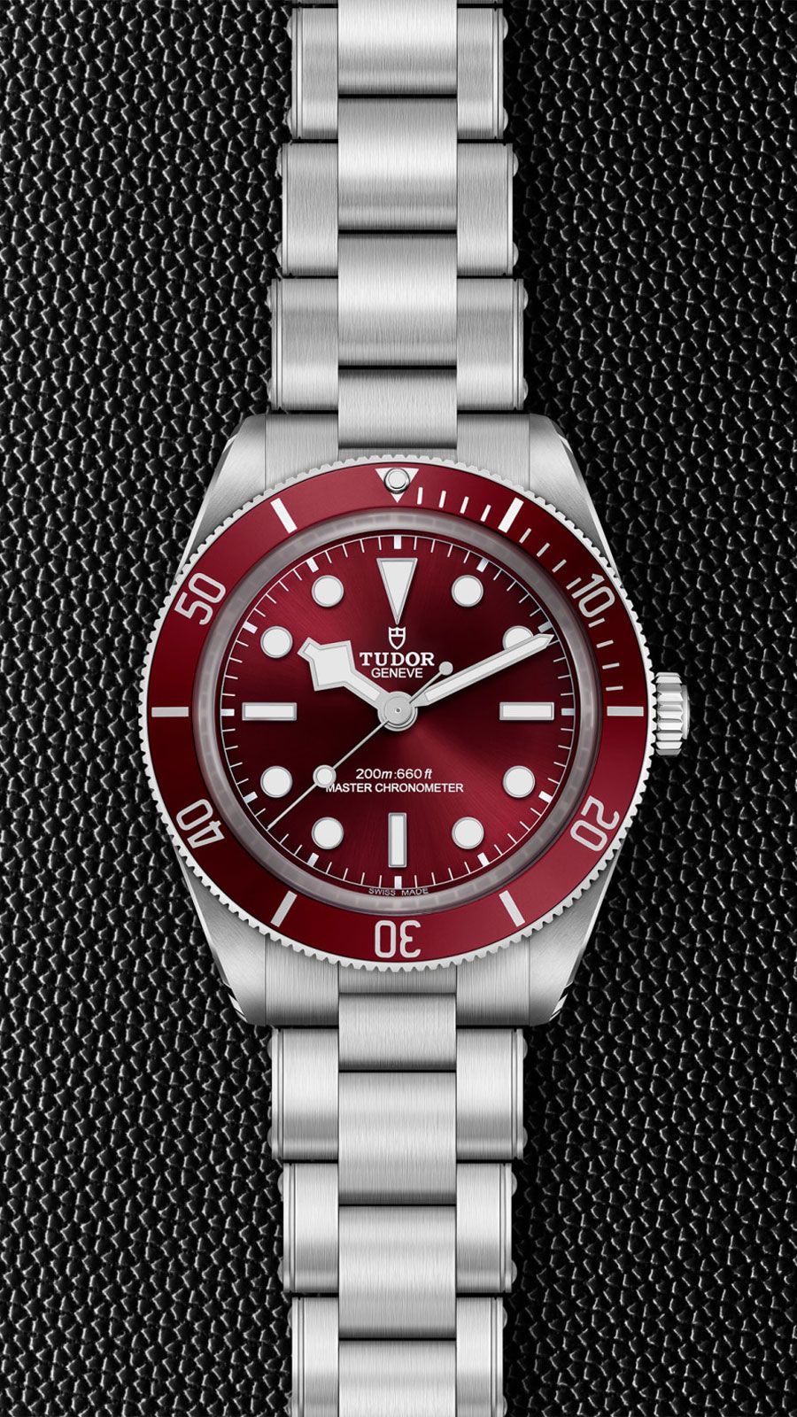 Tudor Black Bay