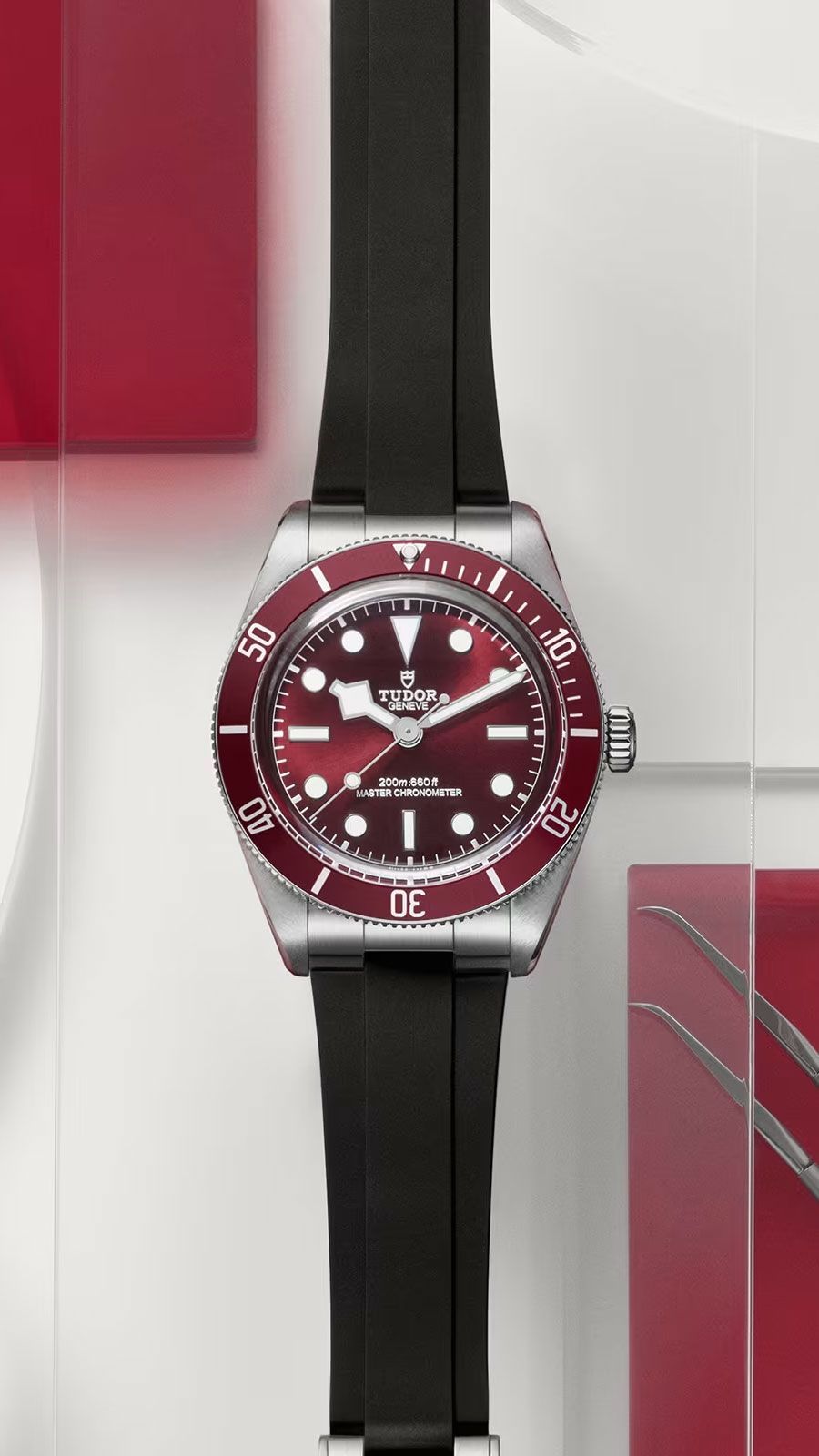 Tudor Black Bay