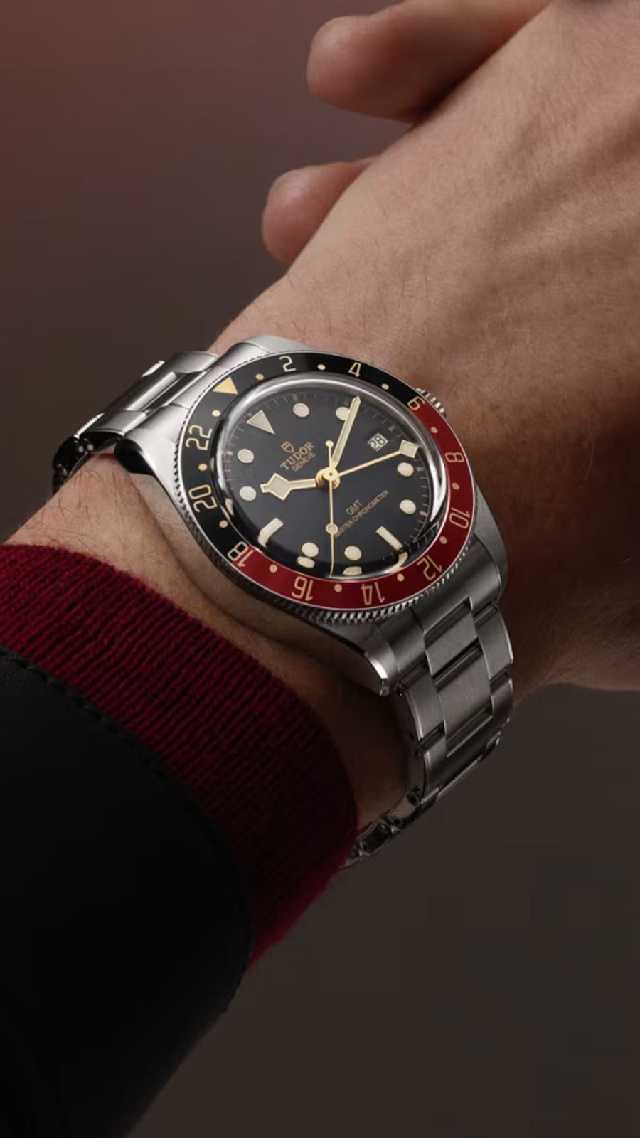 Tudor Black Bay