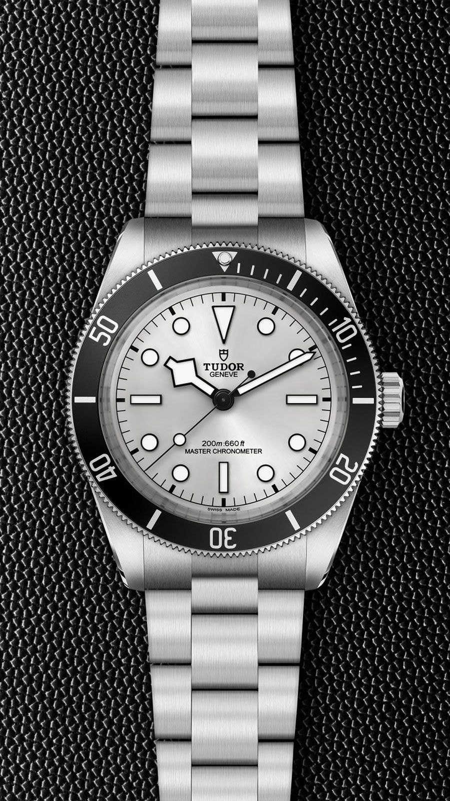Tudor Black Bay