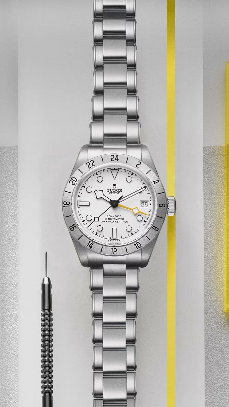 Tudor Black Bay