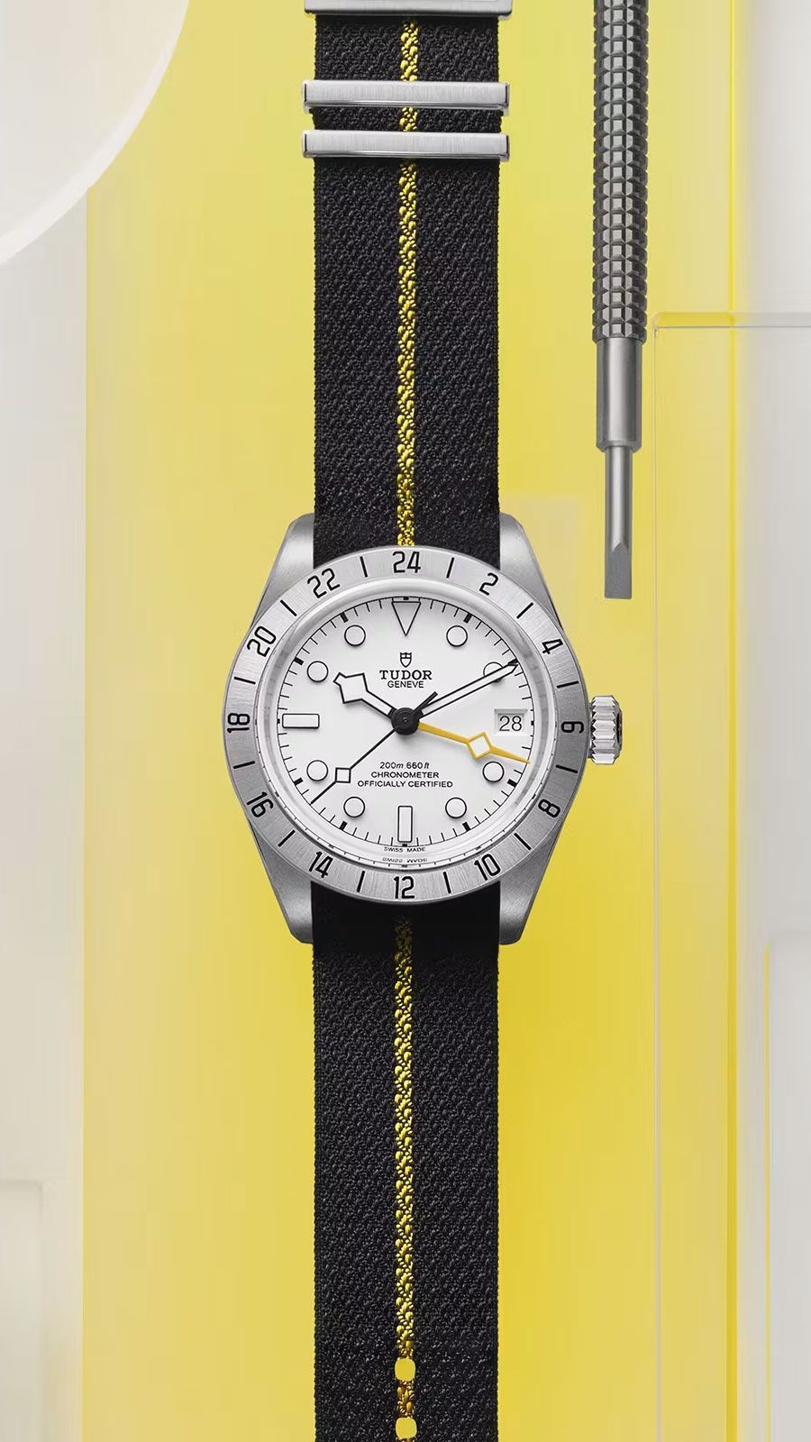 Tudor Black Bay