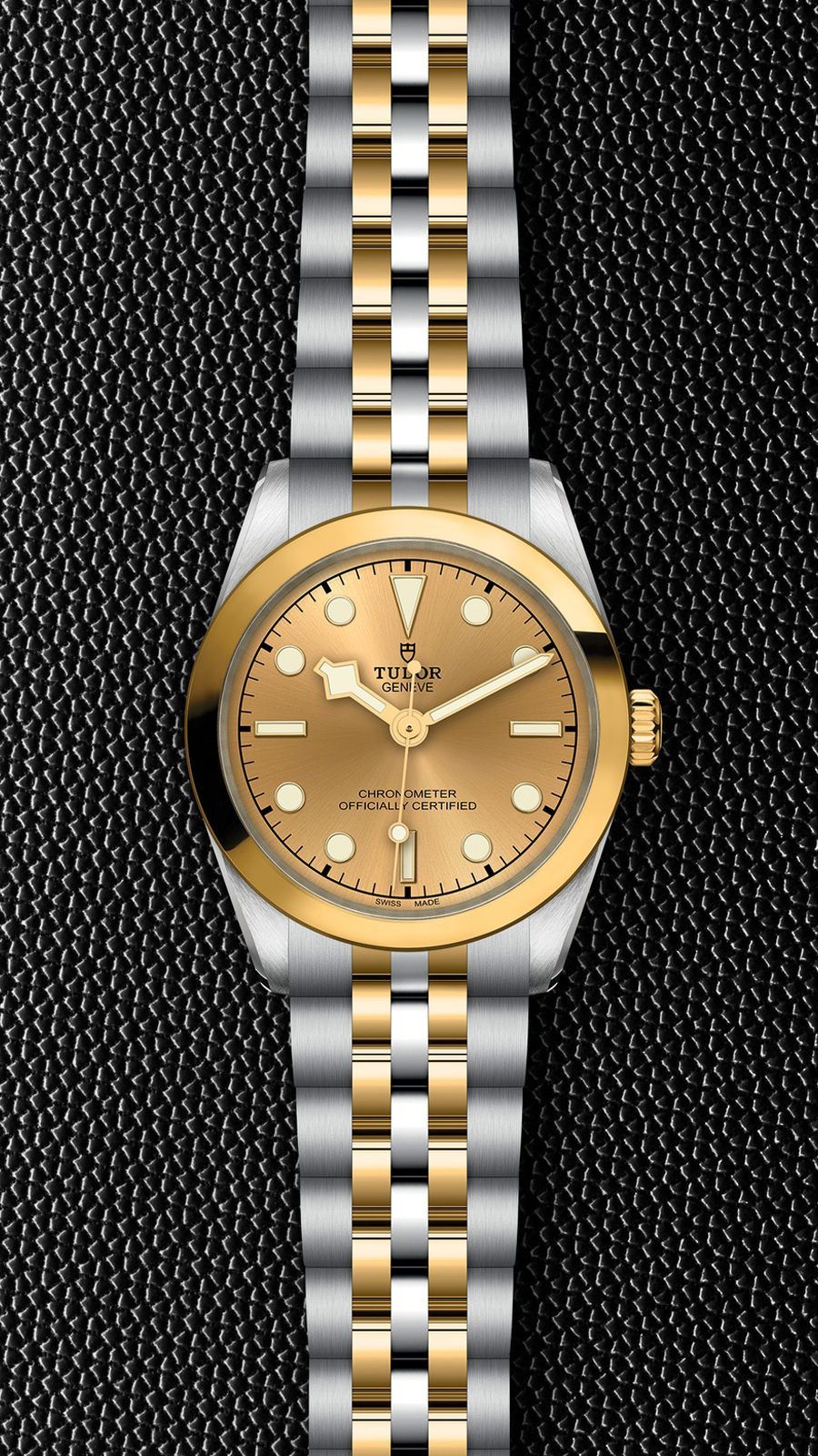 TUDOR Black Bay
