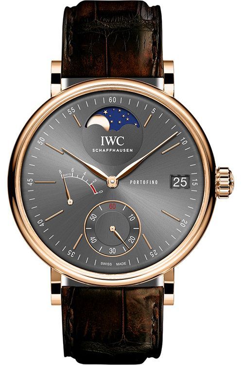 IWC Portofino 45 mm Watch in Grey Dial