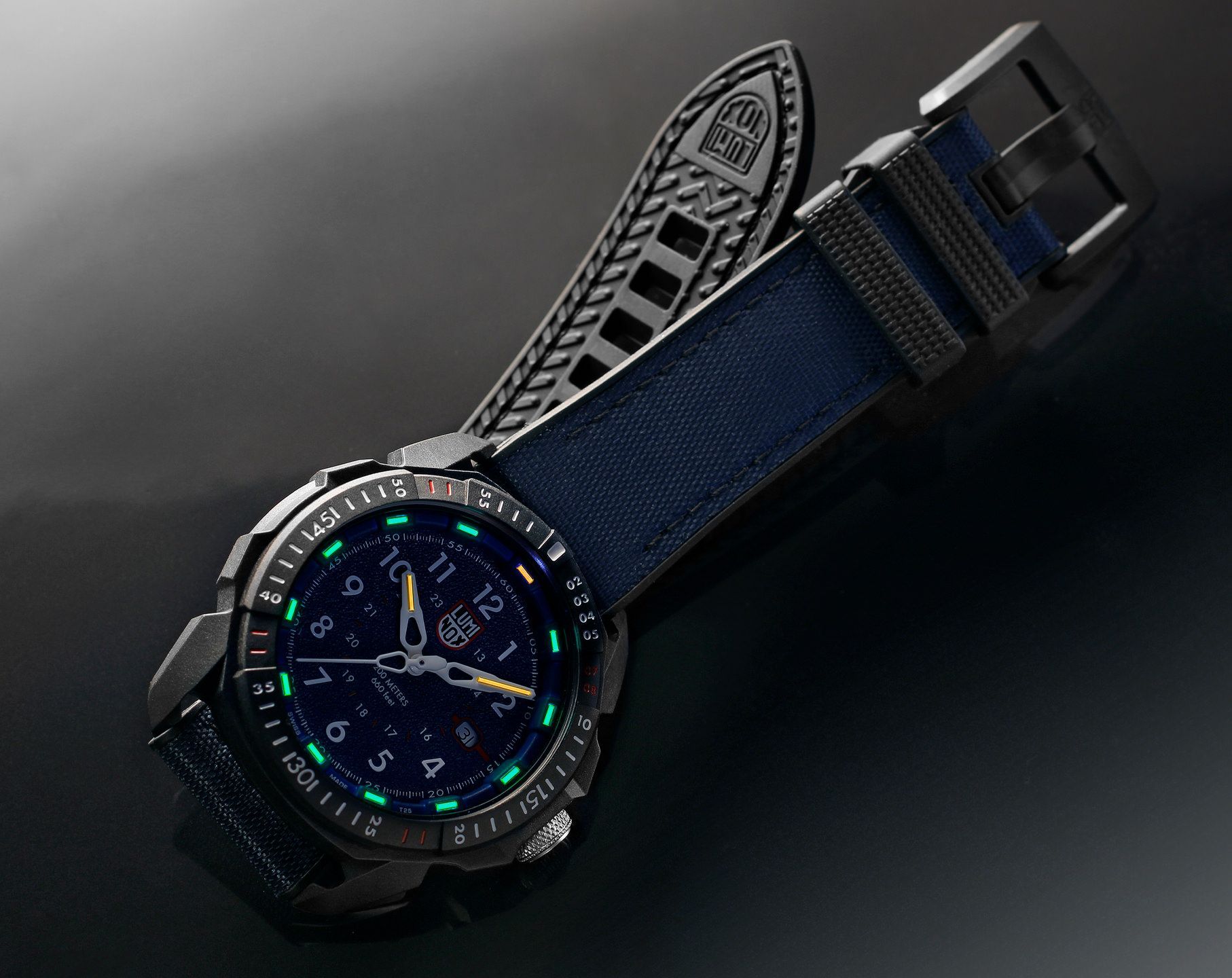 Luminox ICE SAR ARCTIC 46 mm Watch in Blue Dial