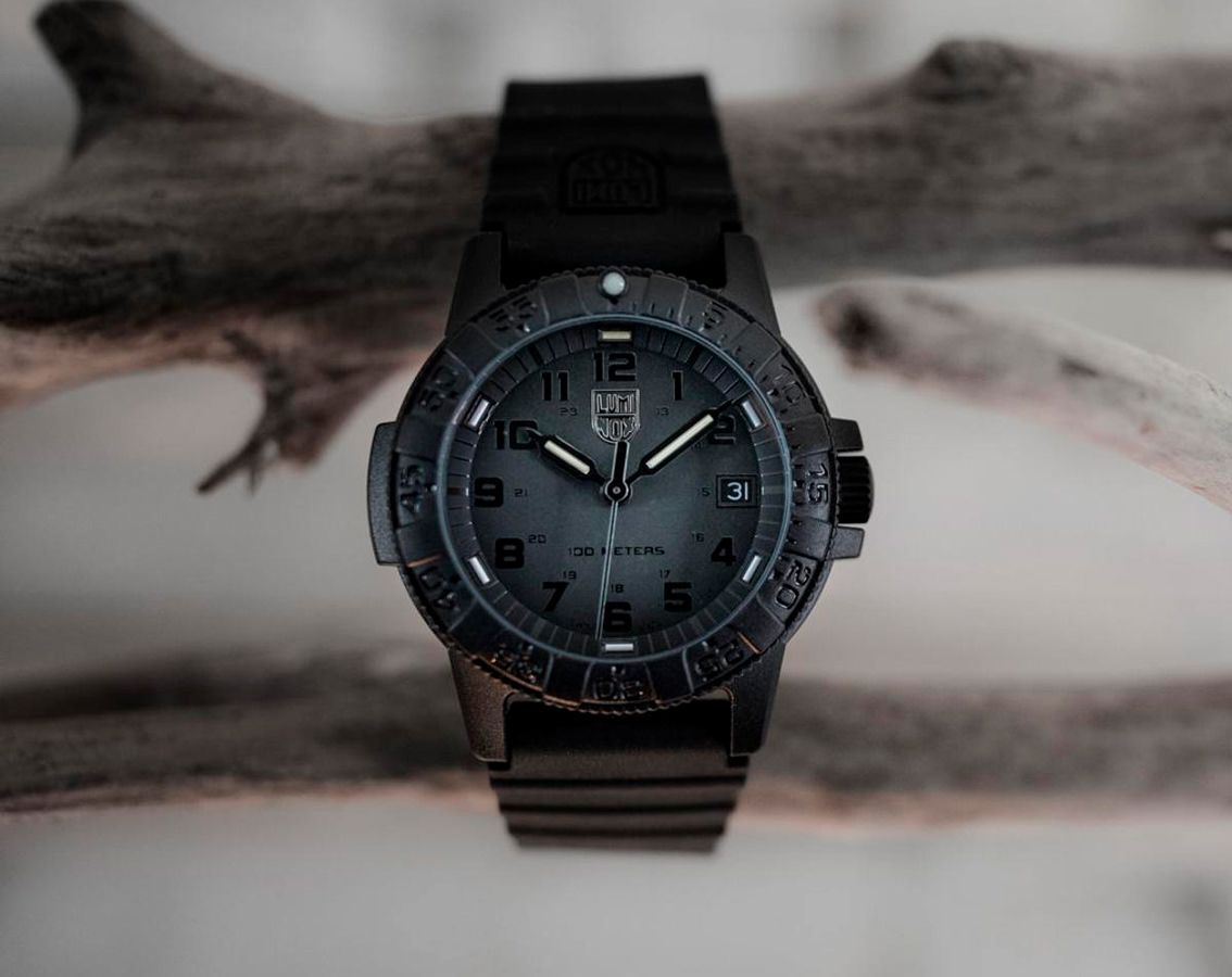 LUMINOX SEA TURTLE 0301 BO ブラックアウト 稼働品 Leatherback SEA Turtle, 39 mm, Outdoor Watch