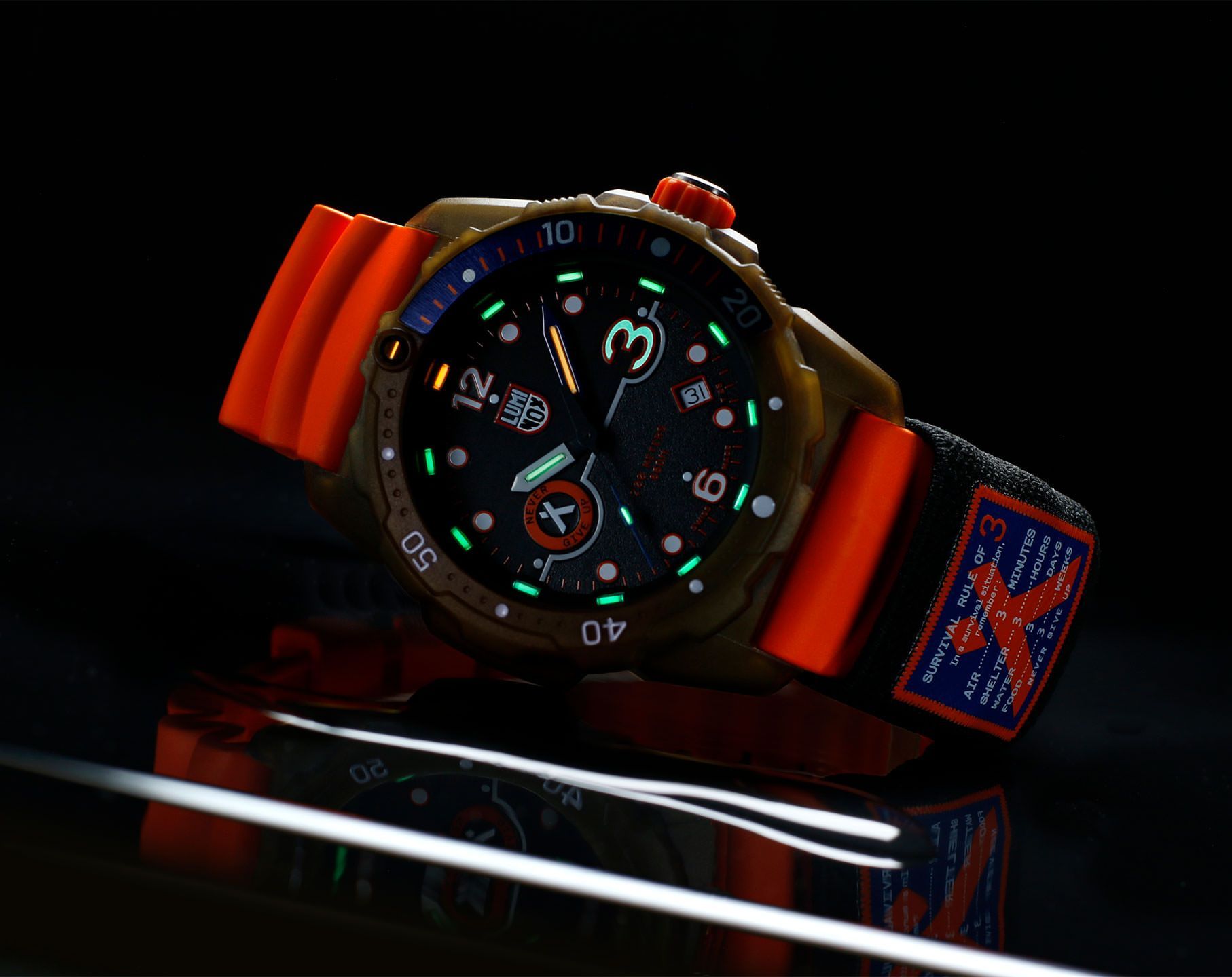 Luminox Bear Grylls Survival  Grey Dial 42 mm Quartz Watch For Men - 8