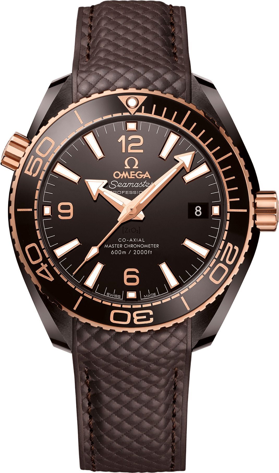 Omega Planet Ocean 39.5 mm Watch in Brown Dial