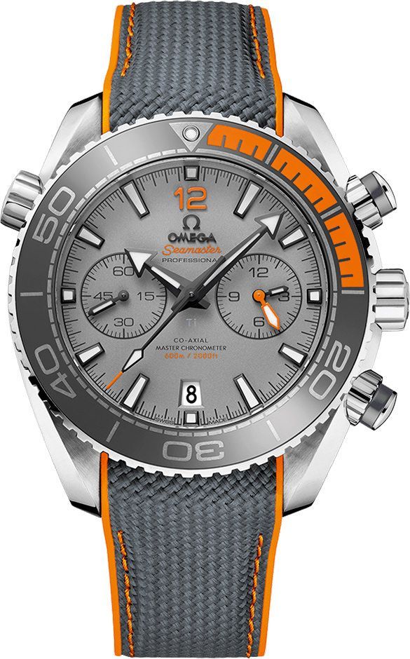 Omega Planet Ocean 600M 45.5 mm Watch in Grey Dial For Men - 1