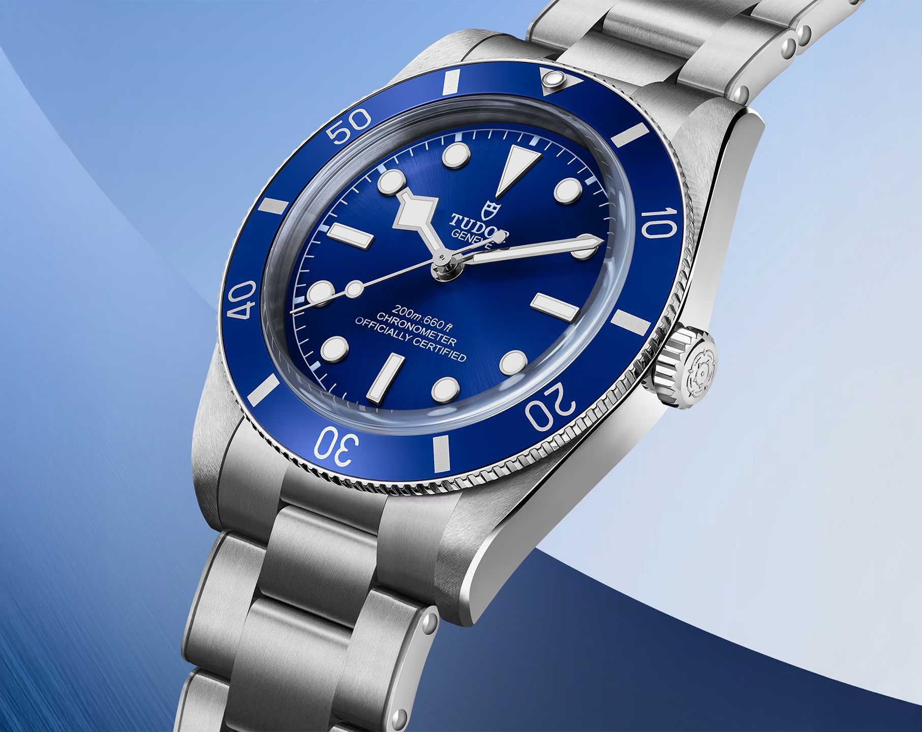 Tudor Black Bay Automatic Watch | M79000B-0001