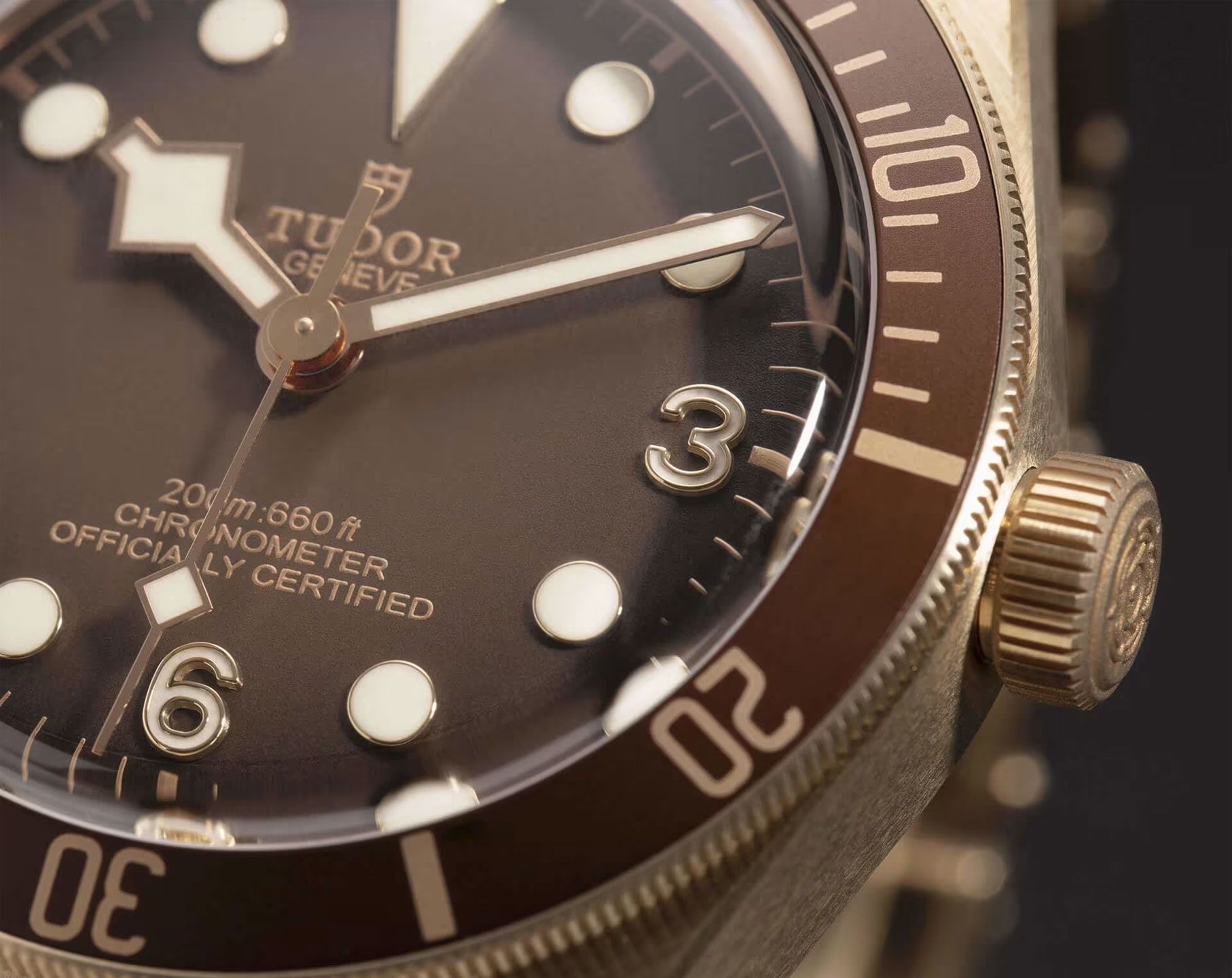Tudor Black Bay Black Bay 58 Brown Dial 39 mm Automatic Watch For Men - 8