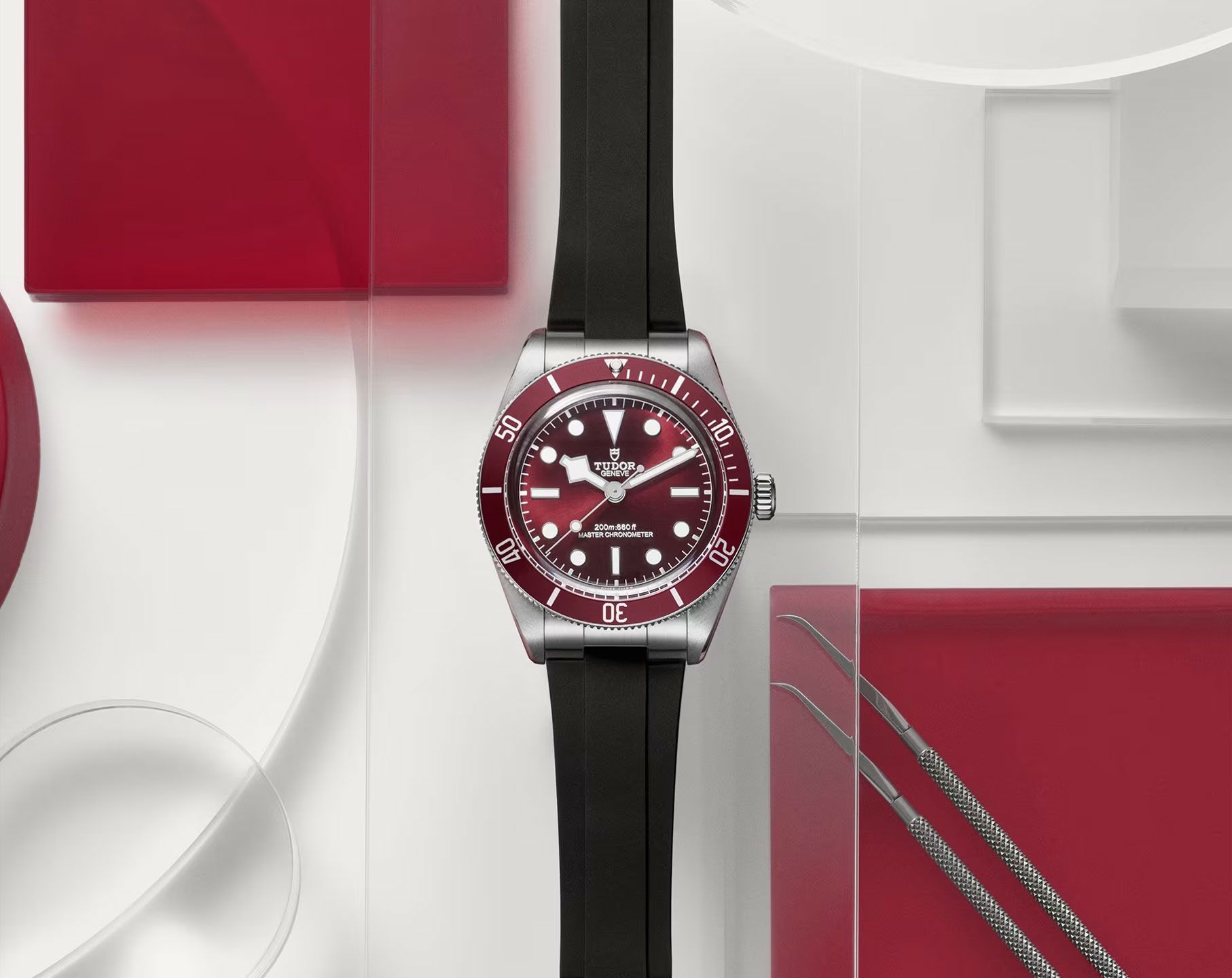 Tudor Black Bay Black Bay 58 Burgundy Dial 39 mm Automatic Watch For Unisex - 2