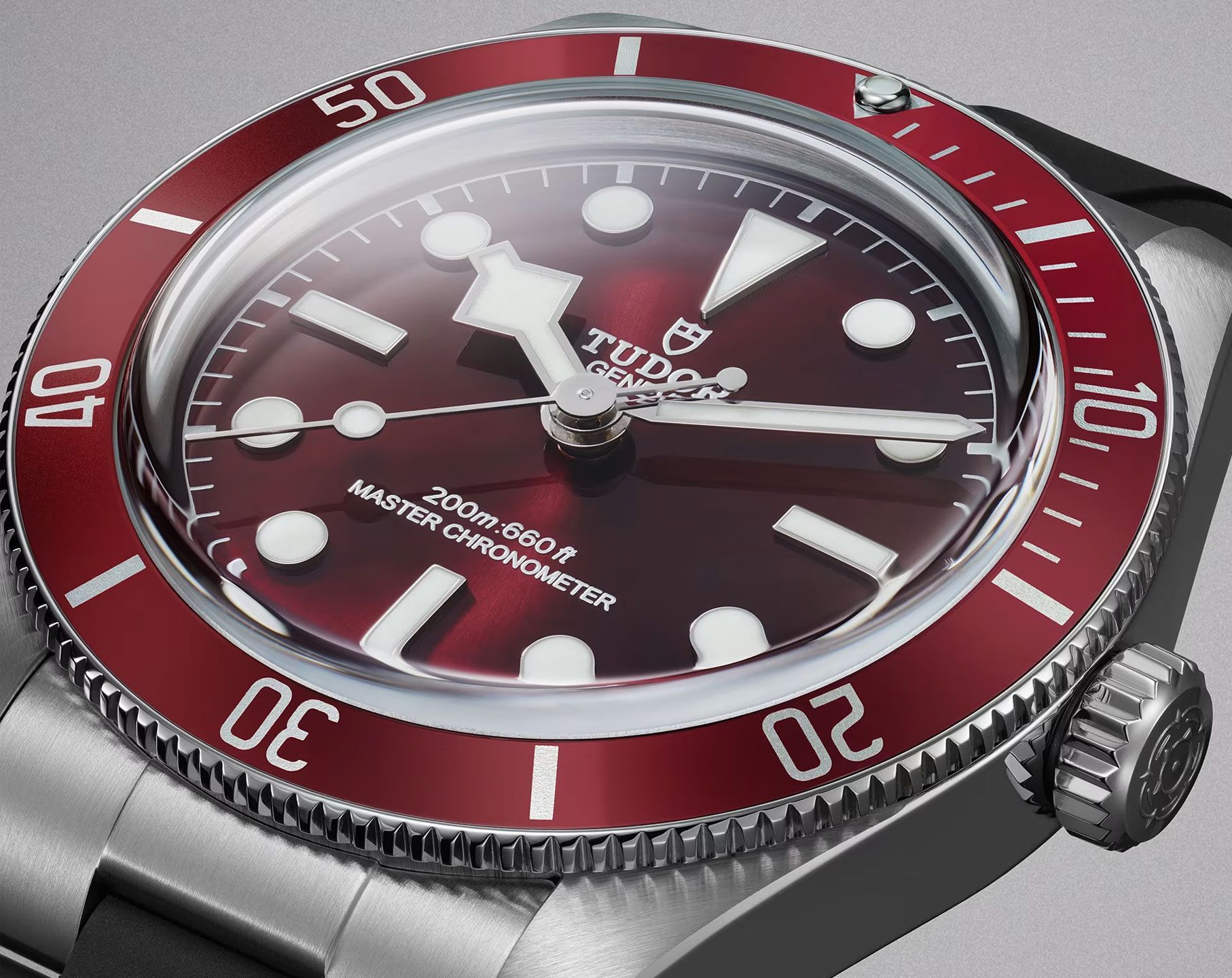 Tudor Black Bay Black Bay 58 Burgundy Dial 39 mm Automatic Watch For Unisex - 6
