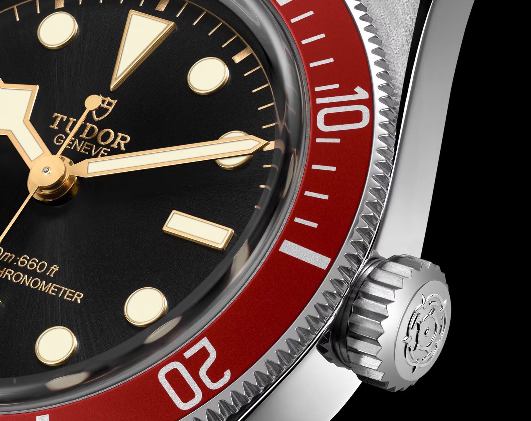Tudor Black Bay  Black Dial 41 mm Automatic Watch For Men - 6