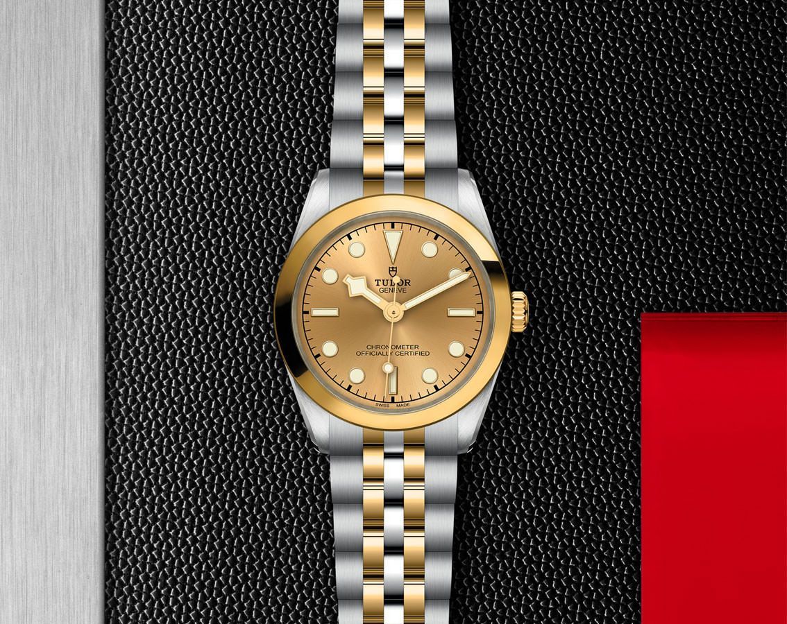 Tudor Black Bay Black Bay 31/36/39/41 Champagne Dial 31 mm Automatic Watch For Women - 3