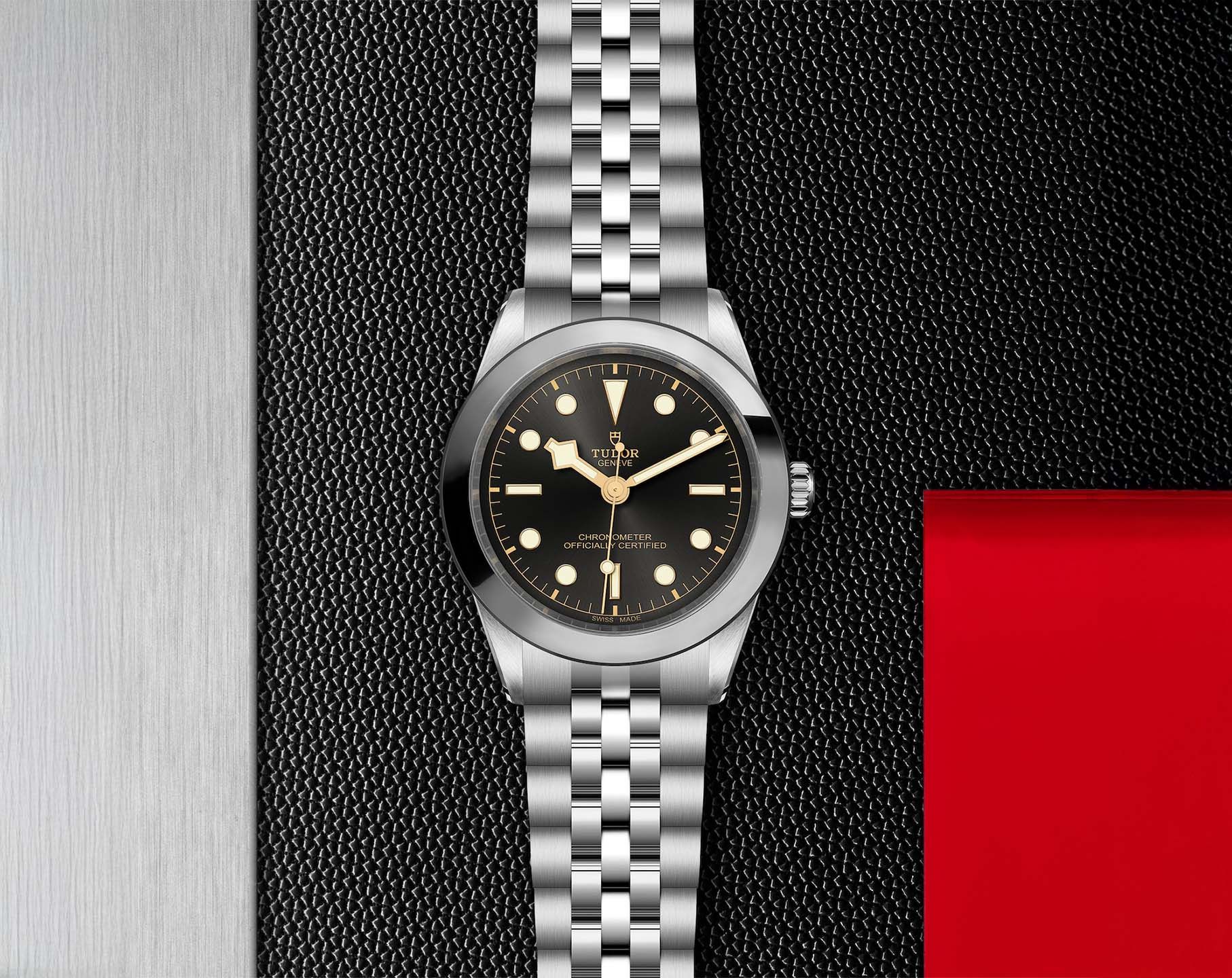 Tudor Black Bay Automatic Women Watches in Round case Grey Dial