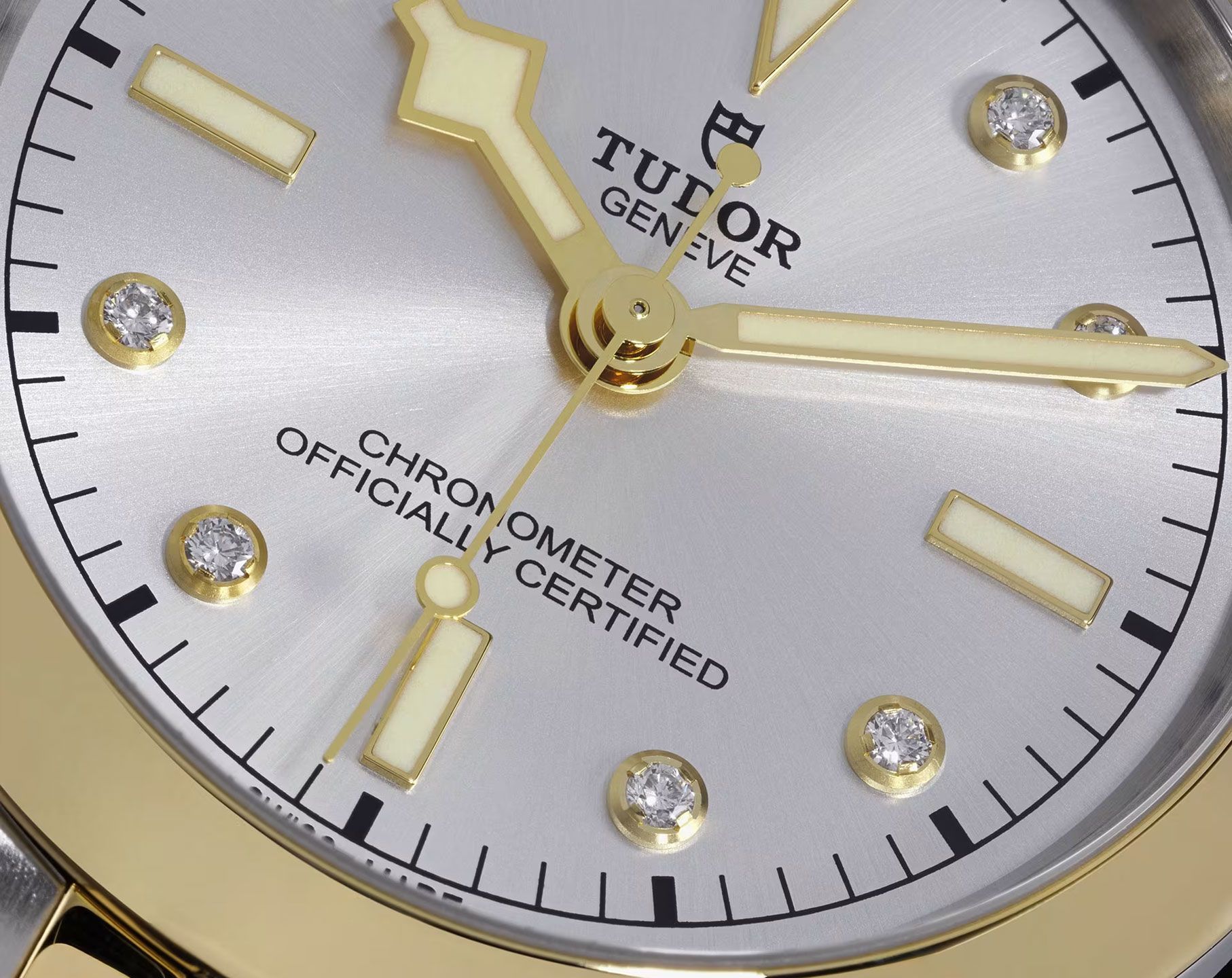Tudor Black Bay Black Bay 31/36/39/41 Silver Dial 41 mm Automatic Watch For Men - 6